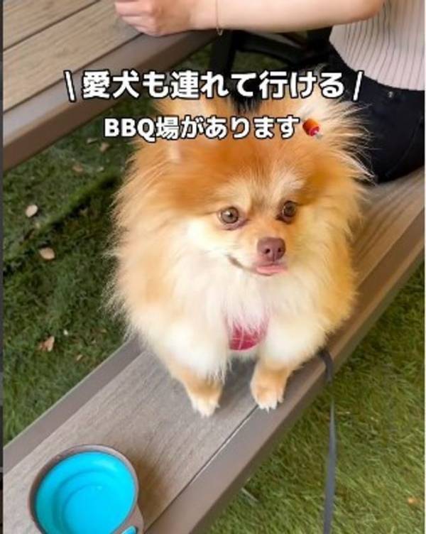 大阪の手ぶらBBQ「GoodBBQ」で第一期アンバサダー19名が就任決定　～子連れ客も犬連れ客も楽しめる夏の公園バーベキュー！5つの改善を実施～