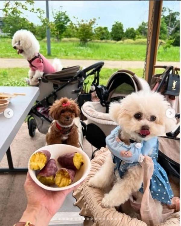 大阪の手ぶらBBQ「GoodBBQ」で第一期アンバサダー19名が就任決定　～子連れ客も犬連れ客も楽しめる夏の公園バーベキュー！5つの改善を実施～