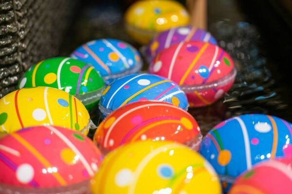 2025年7月24日（木）11：00に、いよいよオープン！豊洲セイルパーク（TOYOSU SAIL PARK）