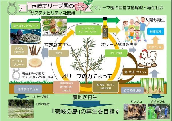 壱岐の自然とともに歩むオリーブ園──循環と再生を軸とした持続可能なものづくり