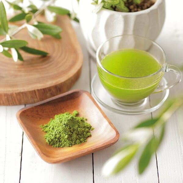 壱岐の自然とともに歩むオリーブ園──循環と再生を軸とした持続可能なものづくり