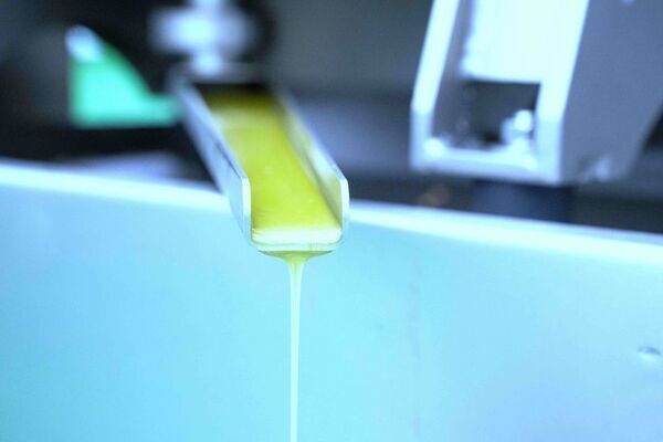 壱岐の自然とともに歩むオリーブ園──循環と再生を軸とした持続可能なものづくり