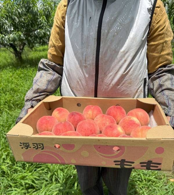 北九州・千草ホテル発“うきはの桃”を贅沢に使った進化系パルフェ、今年も期間限定で7月7日から登場！