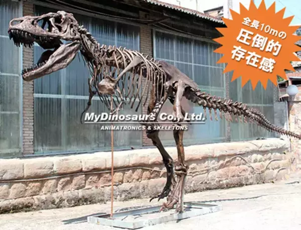 さいたまスーパーアリーナ 開業25周年記念特別企画　「さいたま恐竜展 '25」けやきひろばで7/25～8/17開催　迫力満点！10mの恐竜レプリカが出現