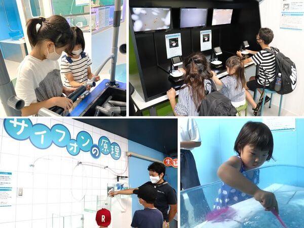 家族みんなで新しい発見！「遊ぶ・学ぶ・ふれる」体験が進化した伊豆・三津シーパラダイス、3つの人気エリアがリニューアル