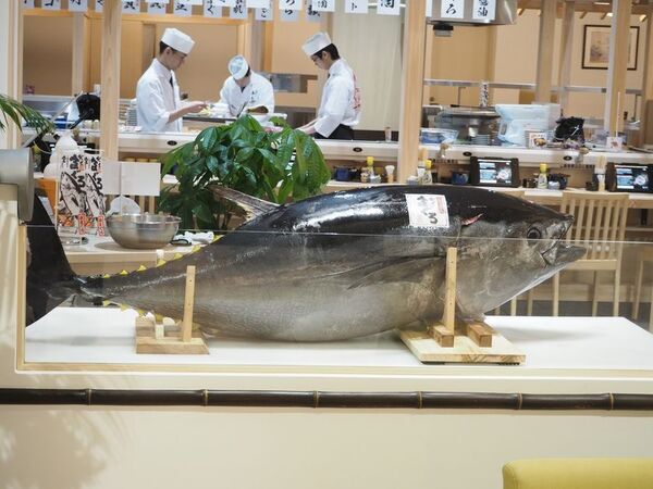 岡山県初！生本まぐろ×自然栽培米の新感覚回転寿司「すし遊館あさひ」津高店グランドオープン