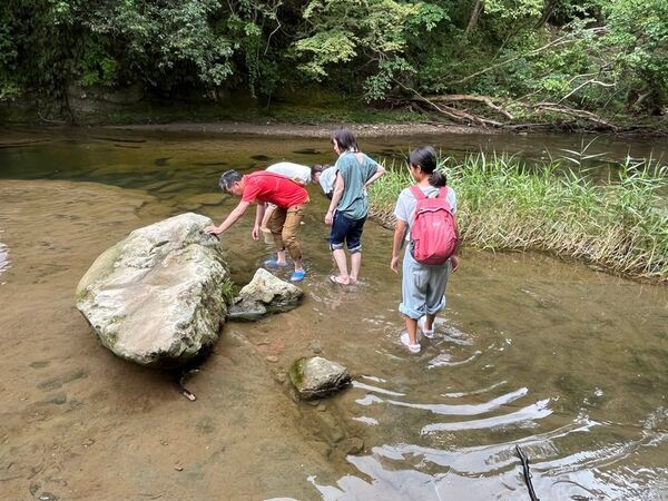 ＜千葉県奥房総＞温泉×虫捕り×星空観察×焚き火で最高の夏休み！亀山温泉ホテルが「自然体験キッズプラン」を販売開始