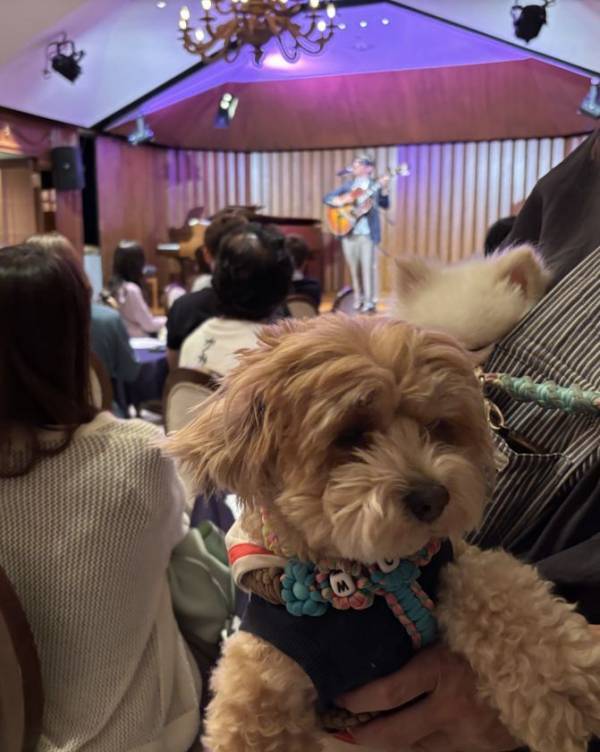 ペットと音楽を楽しむ新しいカタチ『わんわんサウンドシエスタVol.3』MARCY&TOSHI(EARTHSHAKER)を迎えて、9月14日東京・麻布で開催