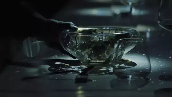 河口湖唯一の湖上レストラン『HAMANASHI HOUSEBOAT』最新映像を公開　公式ウェブサイトも同時リニューアル