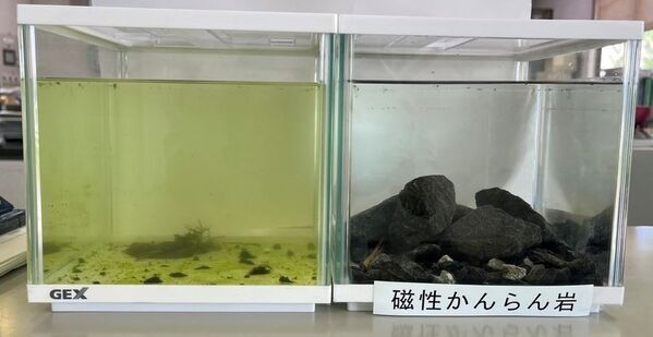 魚の健康維持と水質安定をサポート！天然鉱石を活用した『さかなのひみつ』の先行予約販売を開始