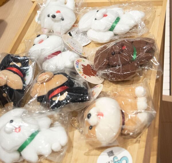 ≪イベントレポート≫ラジオ番組『にゃんドル☆わんドル』1周年記念！リスナー参加型交流イベントを開催。25組のにゃんどる☆わんドルが参加！