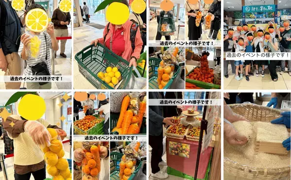 熱海で夏野菜や旬の果物をお買い得にゲットできるイベントを開催　夏野菜がもりだくさん！今が旬のおいしさで暑い夏を乗り越えよう！