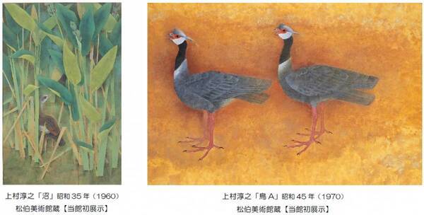 「追悼 上村淳之展 学生時代から晩年まで2ー鳥たちの世界ー」を開催します。