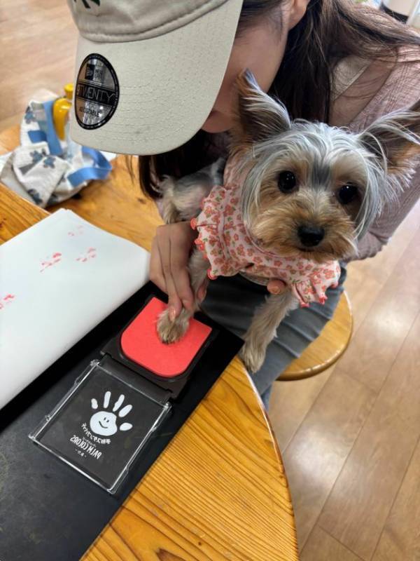 世界文化遺産・国宝の富岡製糸場で7月19日より「屋内施設へのペット同伴見学範囲が拡大」