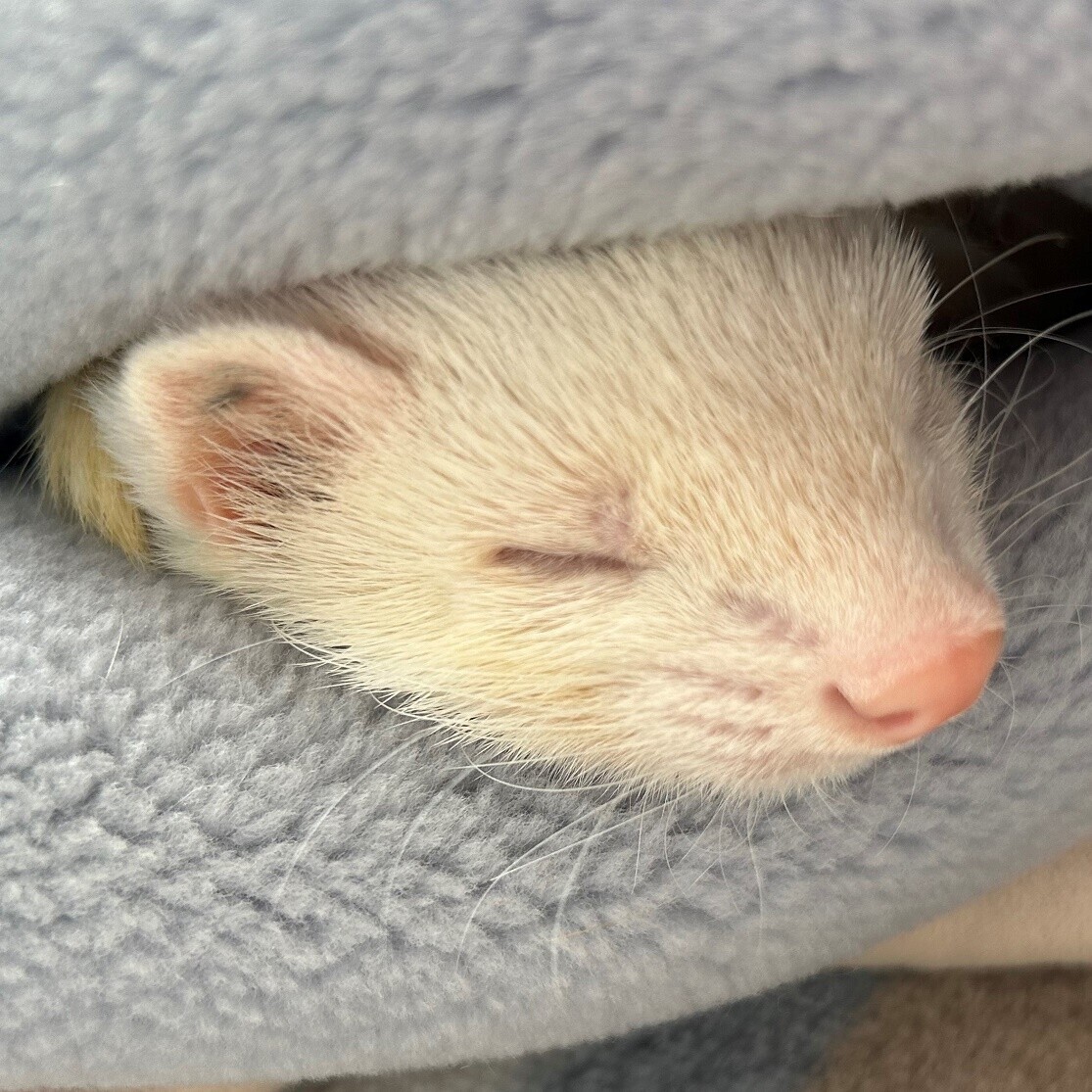 【あべのハルカス近鉄本店】夏休みイベント特集