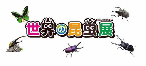 【あべのハルカス近鉄本店】夏休みイベント特集