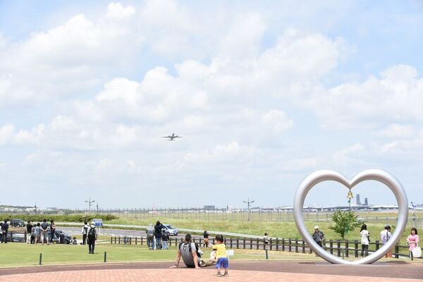 千葉県芝山町「ひこうきの丘みんなのベンチプロジェクト」をCAMPFIREにて8月24日(日)まで実施　～消えゆく里山の木をベンチに～