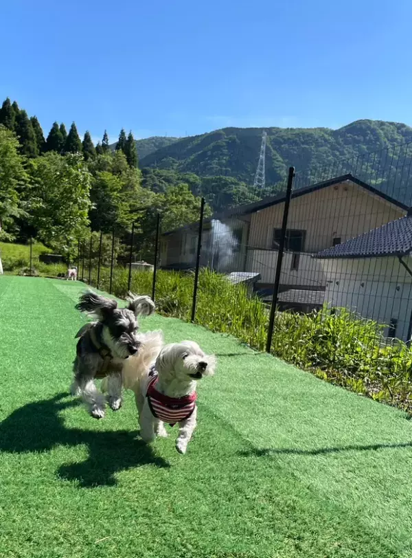 みずほPayPayドーム福岡にて8月23日・24日に開催の国内最大級ペット総合イベント「Pet博」に「わんこのおきゅう」で出展