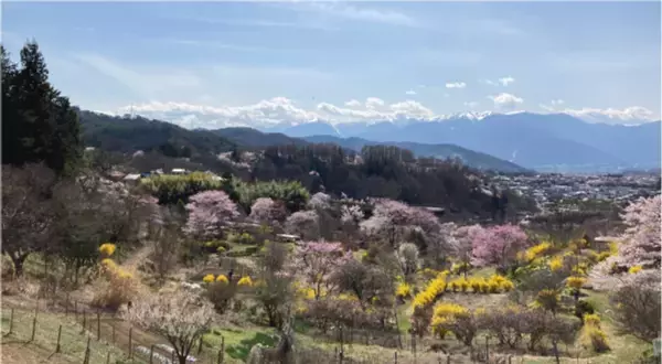 「高遠ジャズ＆ブルースフェスティバル」9月6日(土)初開催！長野・高遠にジャズとブルースの拠点づくりを目指しクラウドファンディングを開始