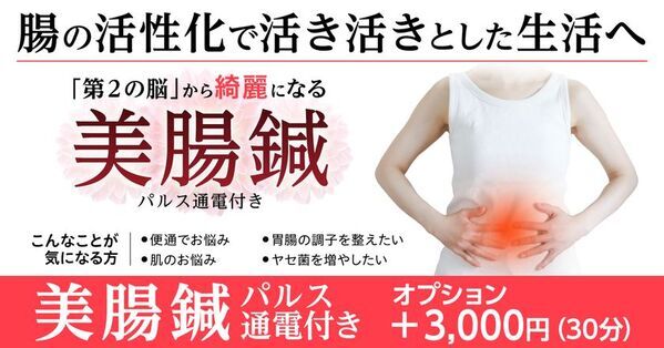 相模原市・多摩市の鍼灸院「はり灸マッサージ　みなぎる美体」にて8月18日(月)より腸を整えるパルス付き美腸鍼を開始