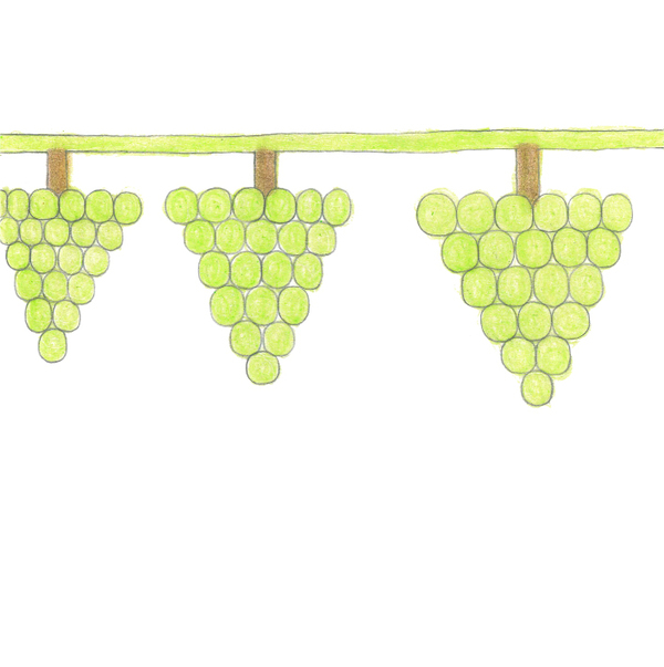 ～近鉄沿線の魅力創造～「いろどりグミ（奈良古都華いちご・大阪シャインマスカット）」 新発売！