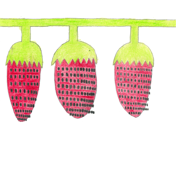 ～近鉄沿線の魅力創造～「いろどりグミ（奈良古都華いちご・大阪シャインマスカット）」 新発売！