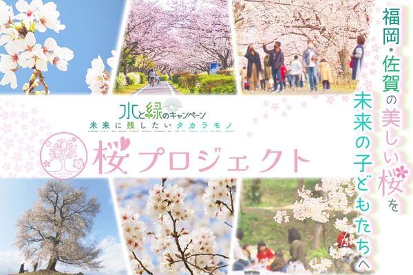 福岡・佐賀の桜の保全活動「桜プロジェクト」を開始　「KBC水と緑の基金」として9月25日までCAMPFIREでクラファン募集