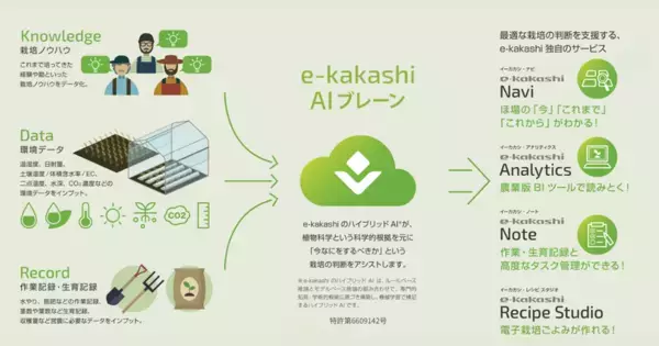 JICA・IDB Lab共催のオープンイノベーションプログラム「TSUBASA2025」に採択決定