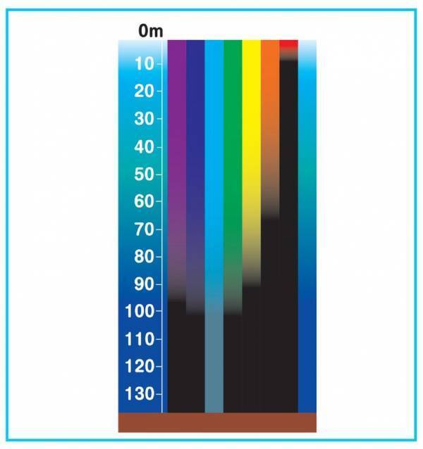答えは1つじゃない！？海と塩について学ぶ　第46回夏休み塩の学習室「海と塩のハテナ2025 ～いろんな見かたで考えよう！～」たばこと塩の博物館(東京・墨田区)で7/19～8/24に開催！