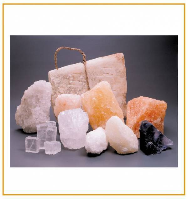 答えは1つじゃない！？海と塩について学ぶ　第46回夏休み塩の学習室「海と塩のハテナ2025 ～いろんな見かたで考えよう！～」たばこと塩の博物館(東京・墨田区)で7/19～8/24に開催！