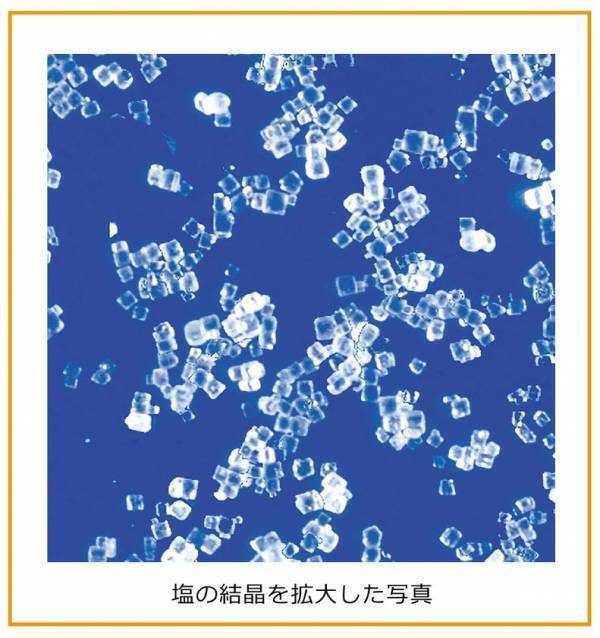 答えは1つじゃない！？海と塩について学ぶ　第46回夏休み塩の学習室「海と塩のハテナ2025 ～いろんな見かたで考えよう！～」たばこと塩の博物館(東京・墨田区)で7/19～8/24に開催！