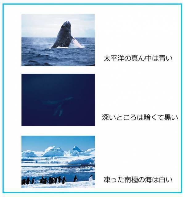 答えは1つじゃない！？海と塩について学ぶ　第46回夏休み塩の学習室「海と塩のハテナ2025 ～いろんな見かたで考えよう！～」たばこと塩の博物館(東京・墨田区)で7/19～8/24に開催！