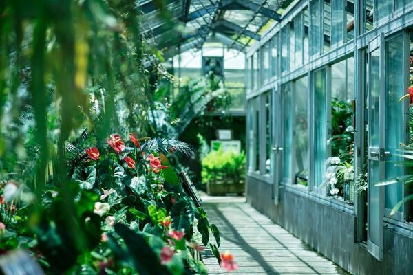 熱川バナナワニ園×反射炉ビヤ コラボ新作！完熟台湾バナナ＆紅ほっぺの華やかな香りが広がるクラフトビール「バナナストロベリーSaison」を7月19日(土)より数量限定発売！