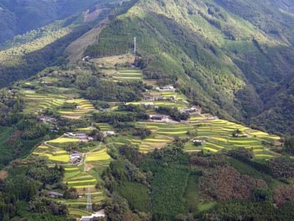 “日本三大秘境”宮崎県・椎葉村、棚田米から初の純米酒「仙人の棚田」誕生！8月1日から本数限定で順次販売開始予定