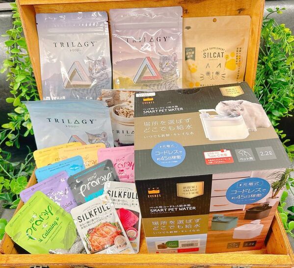 ＜～猫も人もHAPPYに～＞猫好きのためのPOP-UPイベント「HAPPY CAT MARKET vol.9 in なんばマルイ」開催！