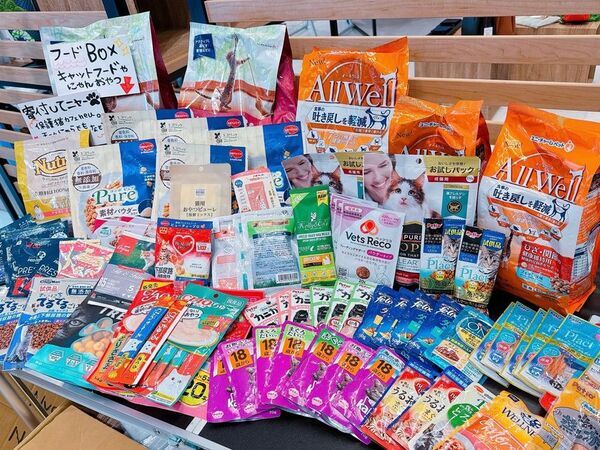 ＜～猫も人もHAPPYに～＞猫好きのためのPOP-UPイベント「HAPPY CAT MARKET vol.9 in なんばマルイ」開催！