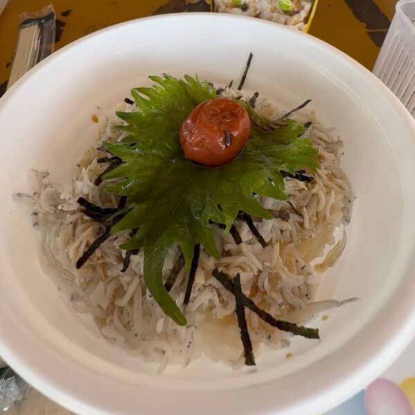 満員御礼の時間帯も！和歌山市・片男波海水浴場の海上アスレチック「AQuaLooP」8月31日までオープン