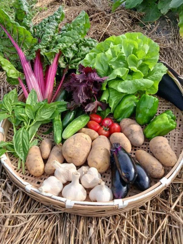 自分が食べる米は自分で作る！日本の米と食と農家を守るための稲作革命「脱時給10円」プロジェクトを7月30日まで実施