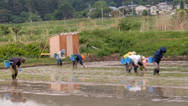 自分が食べる米は自分で作る！日本の米と食と農家を守るための稲作革命「脱時給10円」プロジェクトを7月30日まで実施
