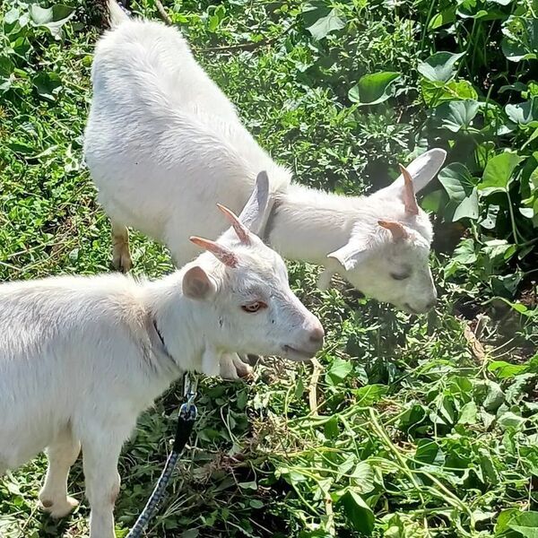 自分が食べる米は自分で作る！日本の米と食と農家を守るための稲作革命「脱時給10円」プロジェクトを7月30日まで実施