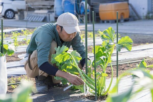 家族の健康を“おまもり”する、自然が育んだ酵素ブランド「KOSOL」が誕生