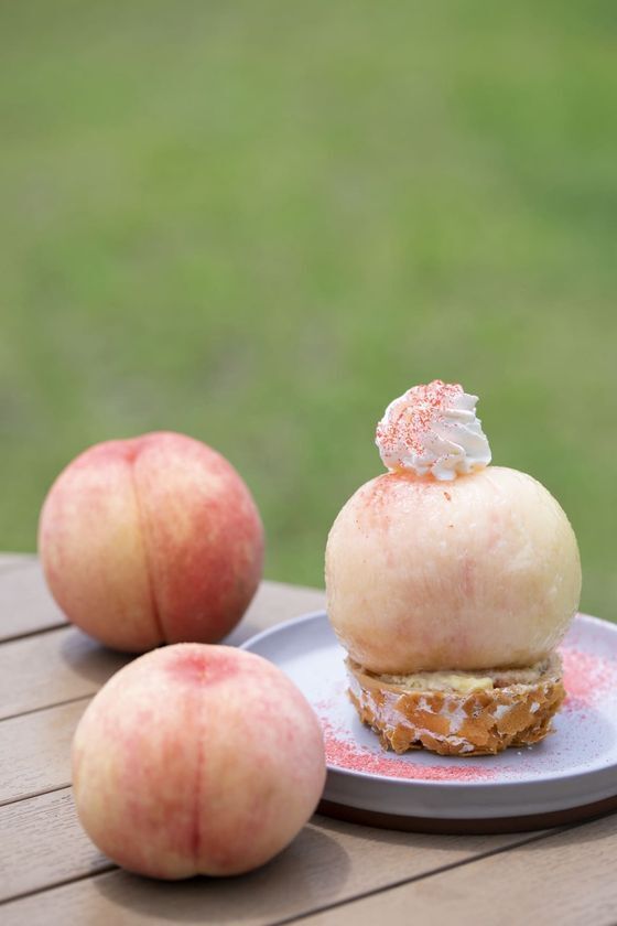 道の駅なんぶ 開業7周年記念「7周年祭」開催！2025年7月19日(土)～27日(日)の9日間　～日頃のご愛顧に感謝を込めて～　白桃丸ごとの限定スイーツや桃イベント満載！