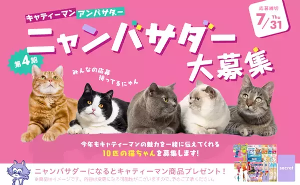 あなたの愛猫がキャティーマンの顔に！7月18日から「第4期ニャンバサダー」大募集開始