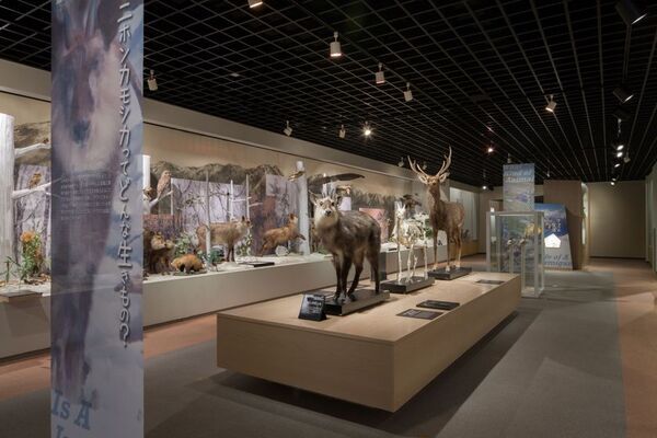 北アルプスの麓、長野県大町市の観光スポットを巡る「信濃大町ぐるりん号」が運行開始！