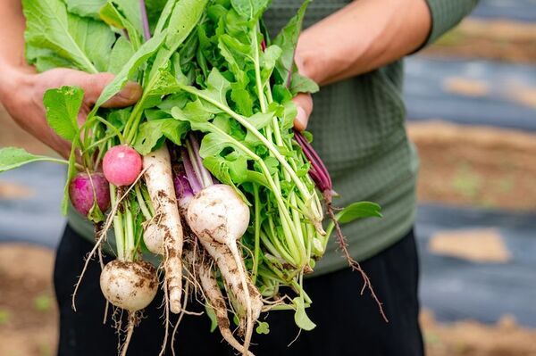 北杜市小淵沢町への子育て移住をリアルに体験！アグリツーリズモ ユタカ　8/23から「移住体験ツアー」開始