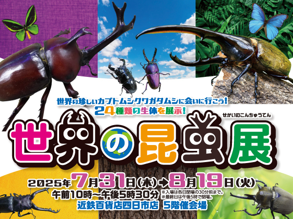 【近鉄百貨店 四日市店】昆虫たちと間近で観察しよう！世界の昆虫展