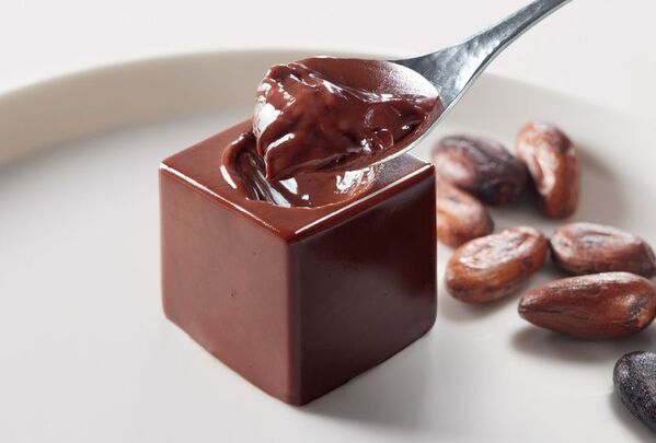 新千歳空港で1日100セット限定！札幌の高級ショコラ専門店「ショコラティエ マサール」から【北海道生テリーヌ】が登場