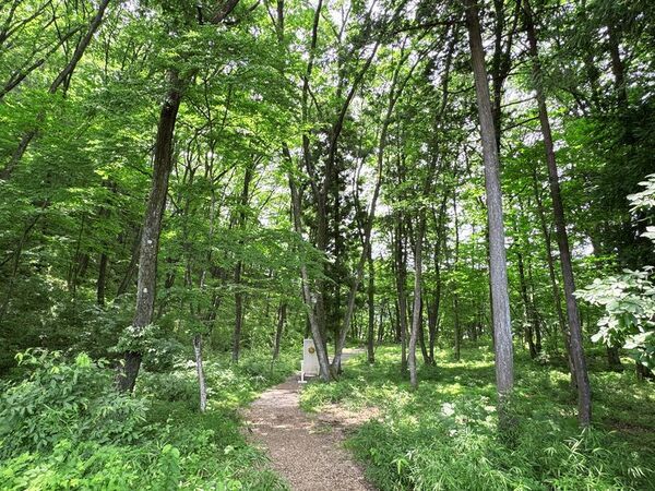 「泊まってよかった宿大賞」2年連続受賞、注目のグランピングリゾート「ブリリアントヴィレッジ日光」が話題沸騰