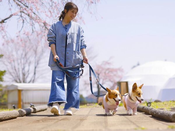 「泊まってよかった宿大賞」2年連続受賞、注目のグランピングリゾート「ブリリアントヴィレッジ日光」が話題沸騰