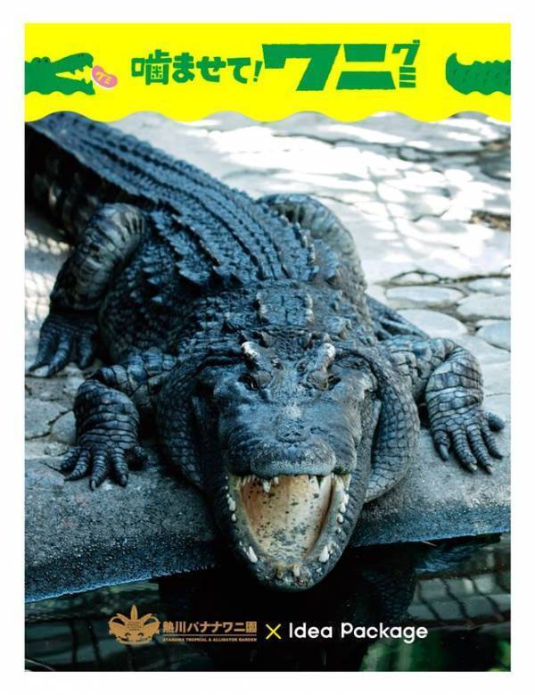 熱川バナナワニ園監修“味変”が楽しめる新感覚のお菓子『噛ませて！ワニグミ　味変の王様バナナあじ』を8月1日に発売